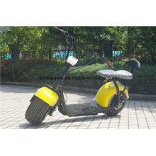 1000W City Coco 2 Wheel Electric Standing Scooter